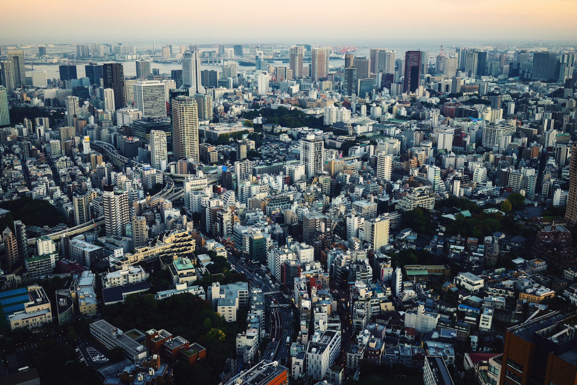 Tokyo seen from above, daytime